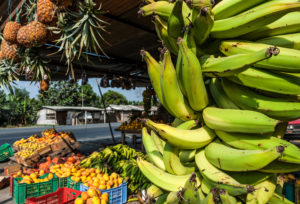 厄瓜多尔街头的水果摊。联合国食物系统峰会旨在加速食物系统转型，但不同的利益相关方对于如何解决食物系统的问题仍存在巨大分歧。图片来源：Kseniya Ragozina / Alamy