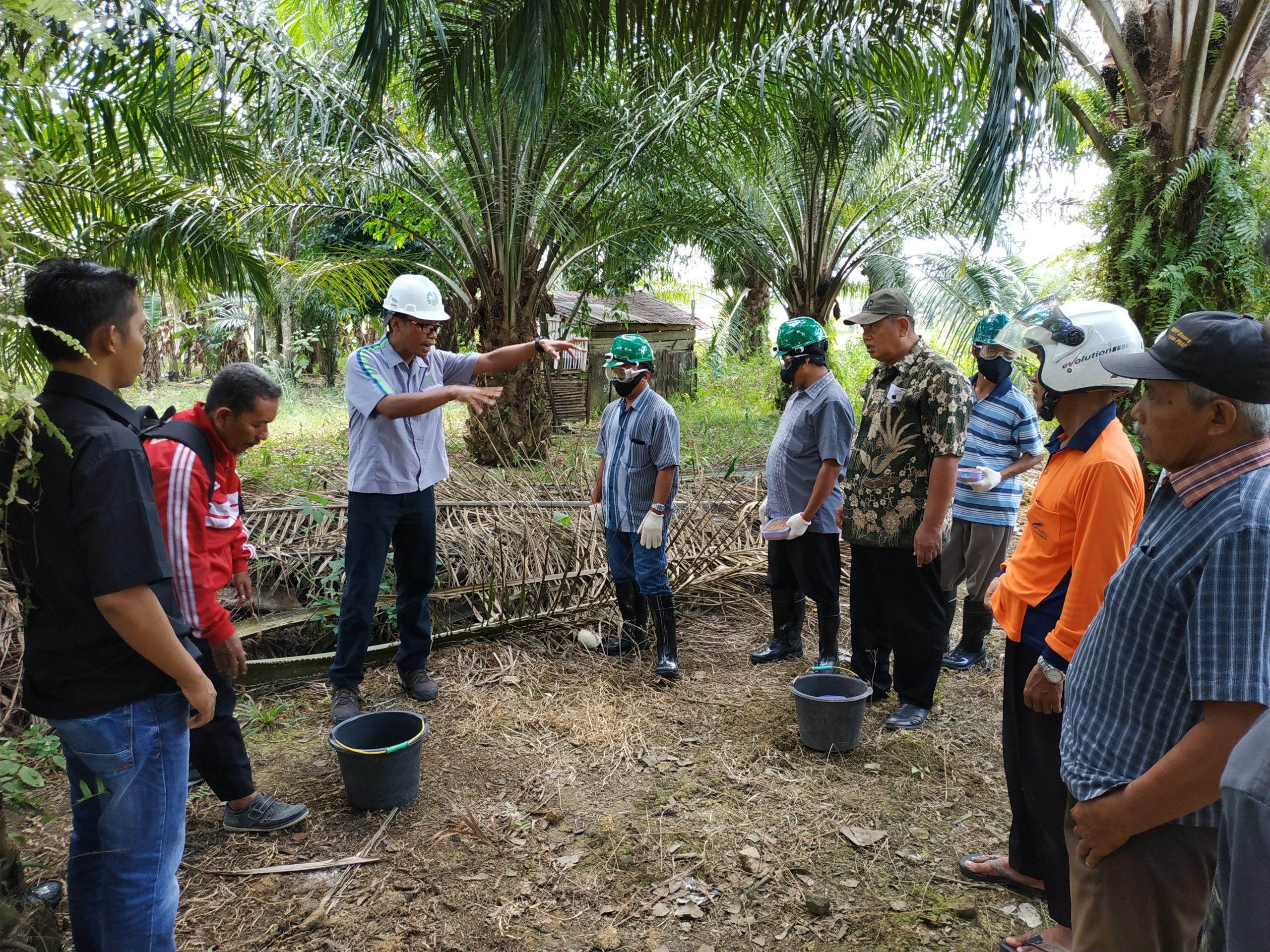 Independent smallholders who belong to the Asosiasi Petani Kelapa Sawit Mandiri cooperative in Central Kalimantan, Indonesia