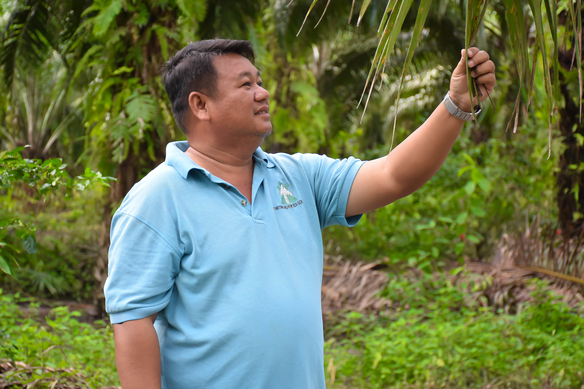 Titi, an RSPO-certified independent smallholder with Wild Asia Group Scheme, inspects oil palms on his plantation in Sabah, Malaysia