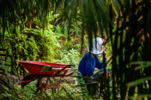 <p>今年的欧洲可持续棕榈油对话（European Sustainable Palm Oil Dialogue）大会讨论了棕榈油行业是否需要将相关生产经营活动给工人、小型种植户、原住民和当地社区带来的负面影响考虑在内的问题。图片来源：Icaro Cooke Vieira/CIFOR CC BY-NC-ND 2.0</p>