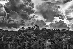 <p>伦敦科学博物馆举行的塞巴斯提奥·萨尔加多《亚马逊》摄影展以黑白照片这种具有强烈视觉冲击的形式呈现了当地的生态群落。这张照片2019 年摄于亚马逊州尼格罗河北部的马里乌亚群岛。图片来源：塞巴斯提奥·萨尔加多 / nbpictures</p>