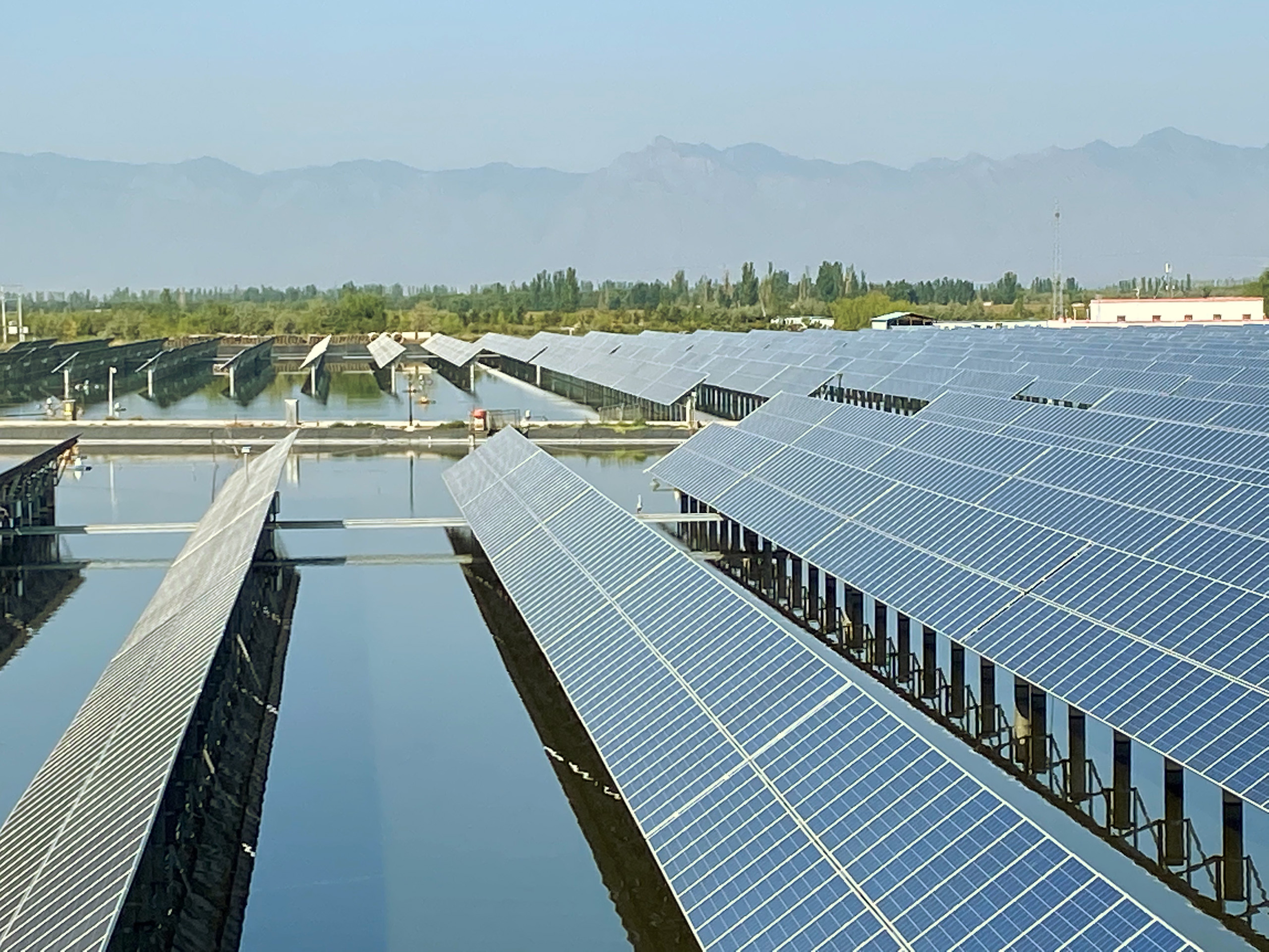 A solar and aquaculture project in Ningxia, China