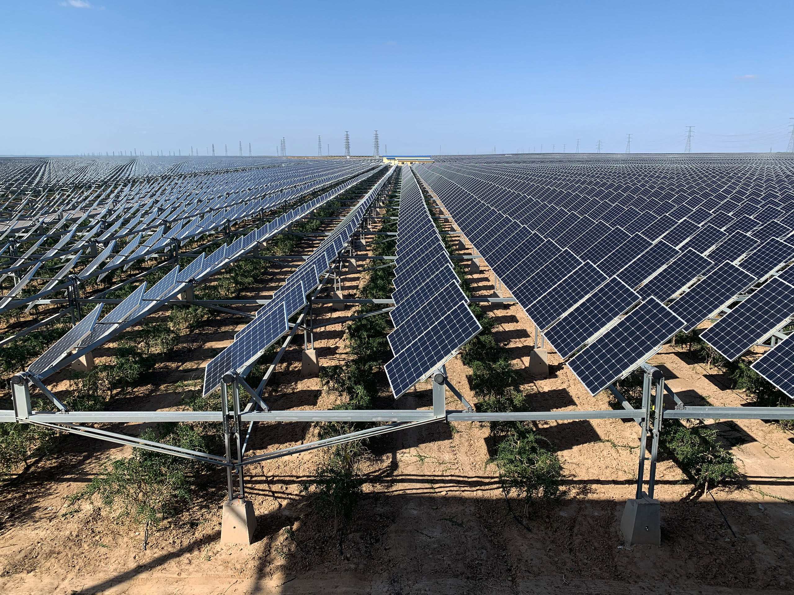 Solar farm in Ningxia, China