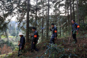 贵州黎平县的村民在森林里巡逻。图片来源：Yang Daifu / Alamy
