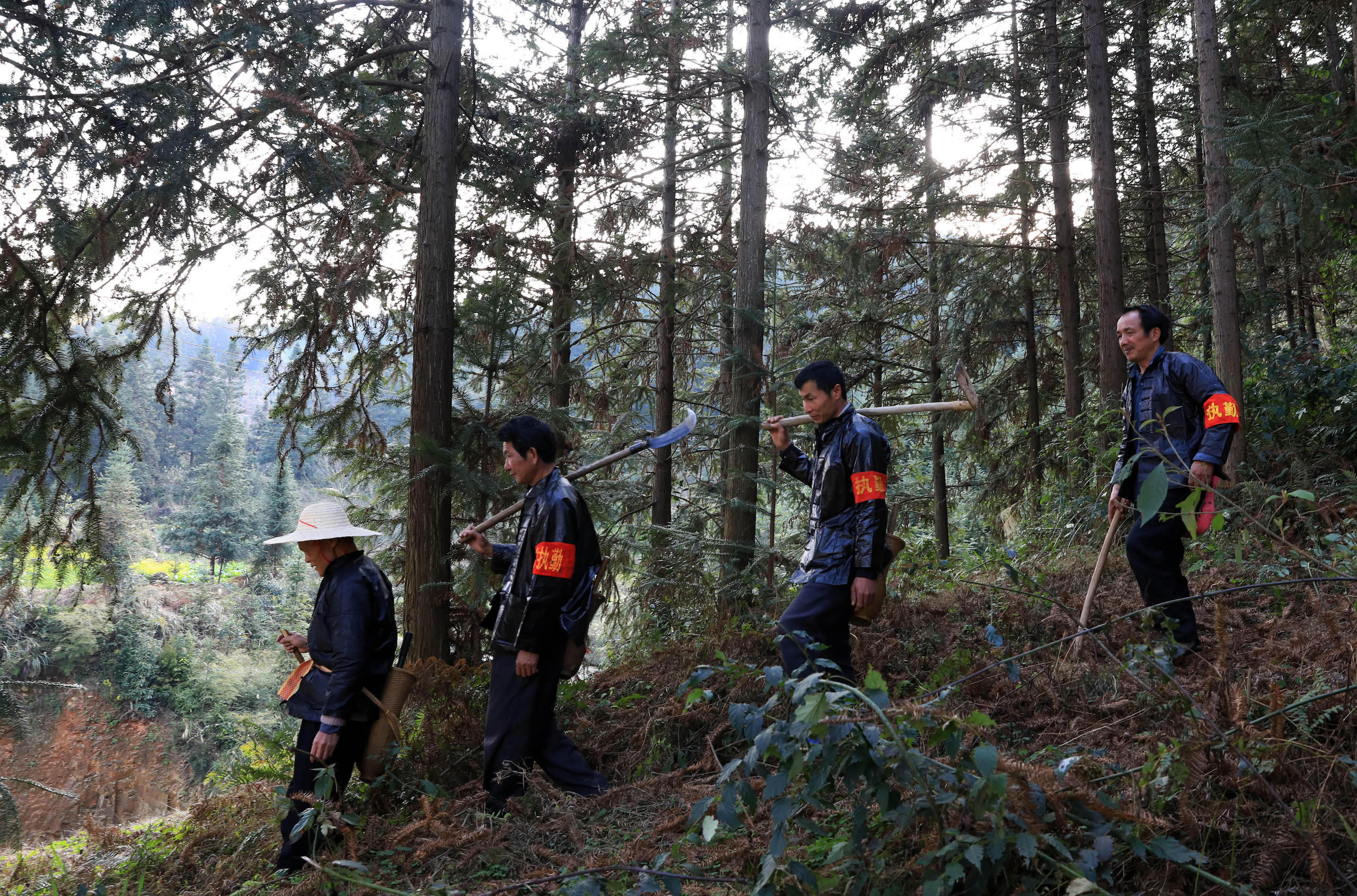 Villagers patrol the forest in Liping County in Guizhou, southwest China (Image: Yang Daifu / Alamy)