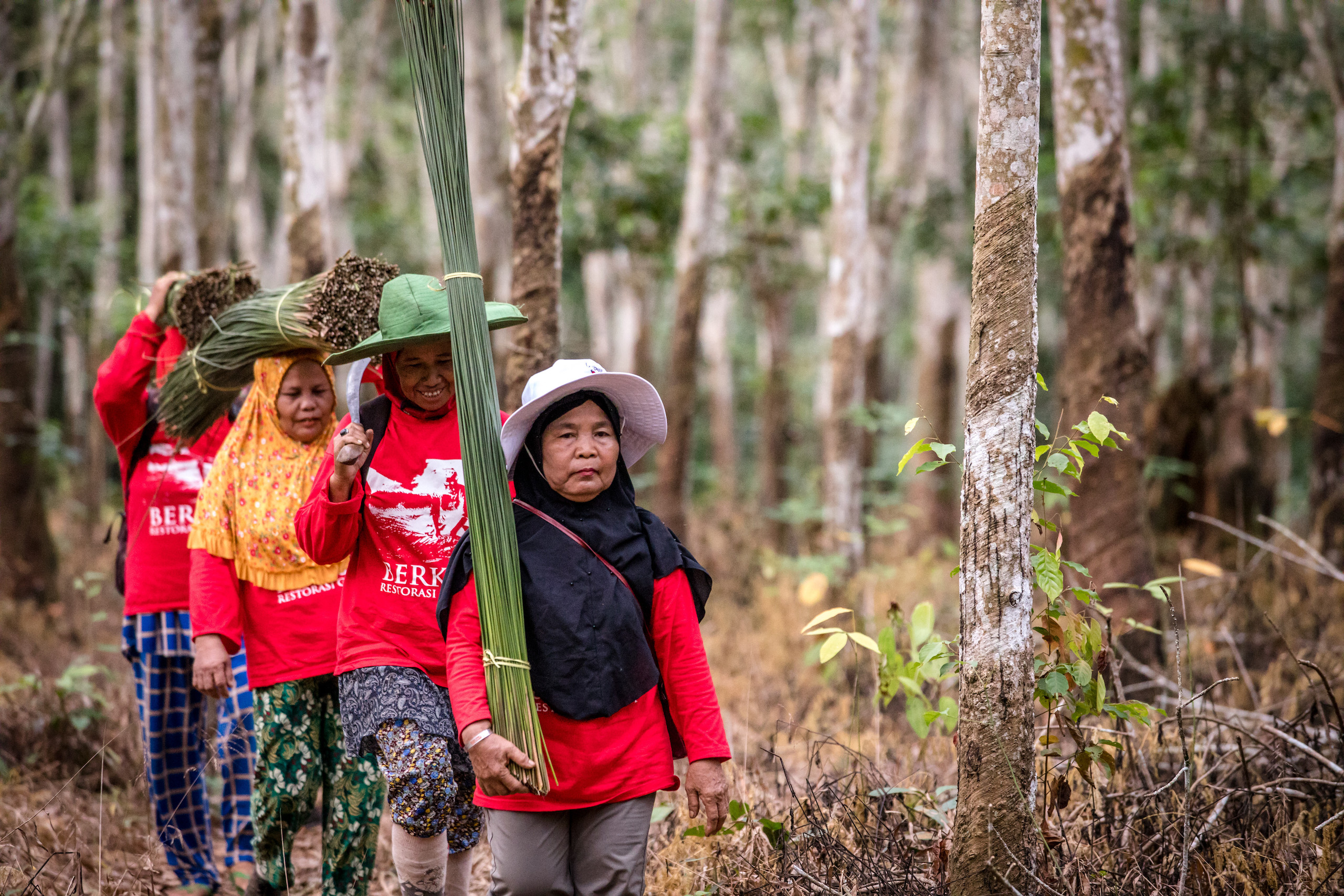 Four women walk in a line, carrying freshly harvested purun. Indonesia
