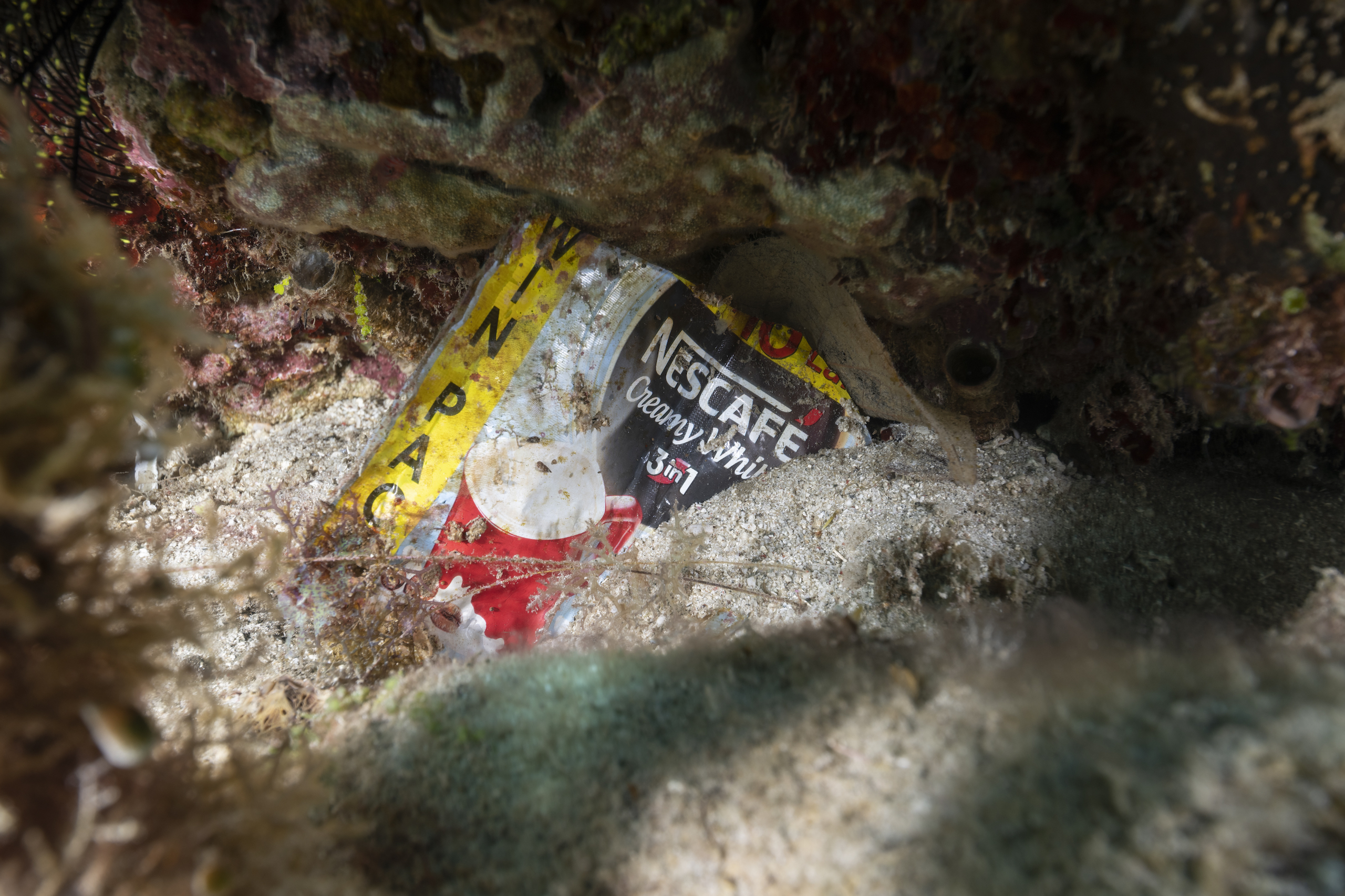 An plastic Nescafe 3-in-1 sachet, trapped in between corals underwater in Verde Island Passage, Philippines