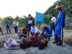 Group of people gathered around oil palm fruit on ground