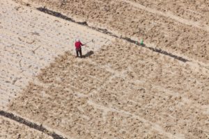 <p>The newly released IPCC report warns that even a small amount of additional warming threatens food security, especially in already drought-prone regions of Africa and Asia (Image: Ashley Cooper / Alamy)</p>