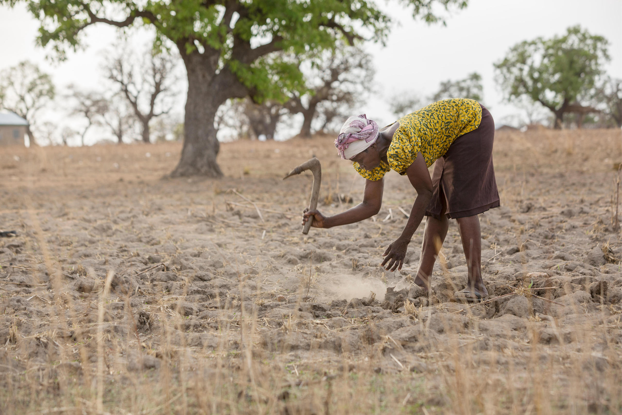 un-report-land-degradation-affects-half-world-s-population-and-economy