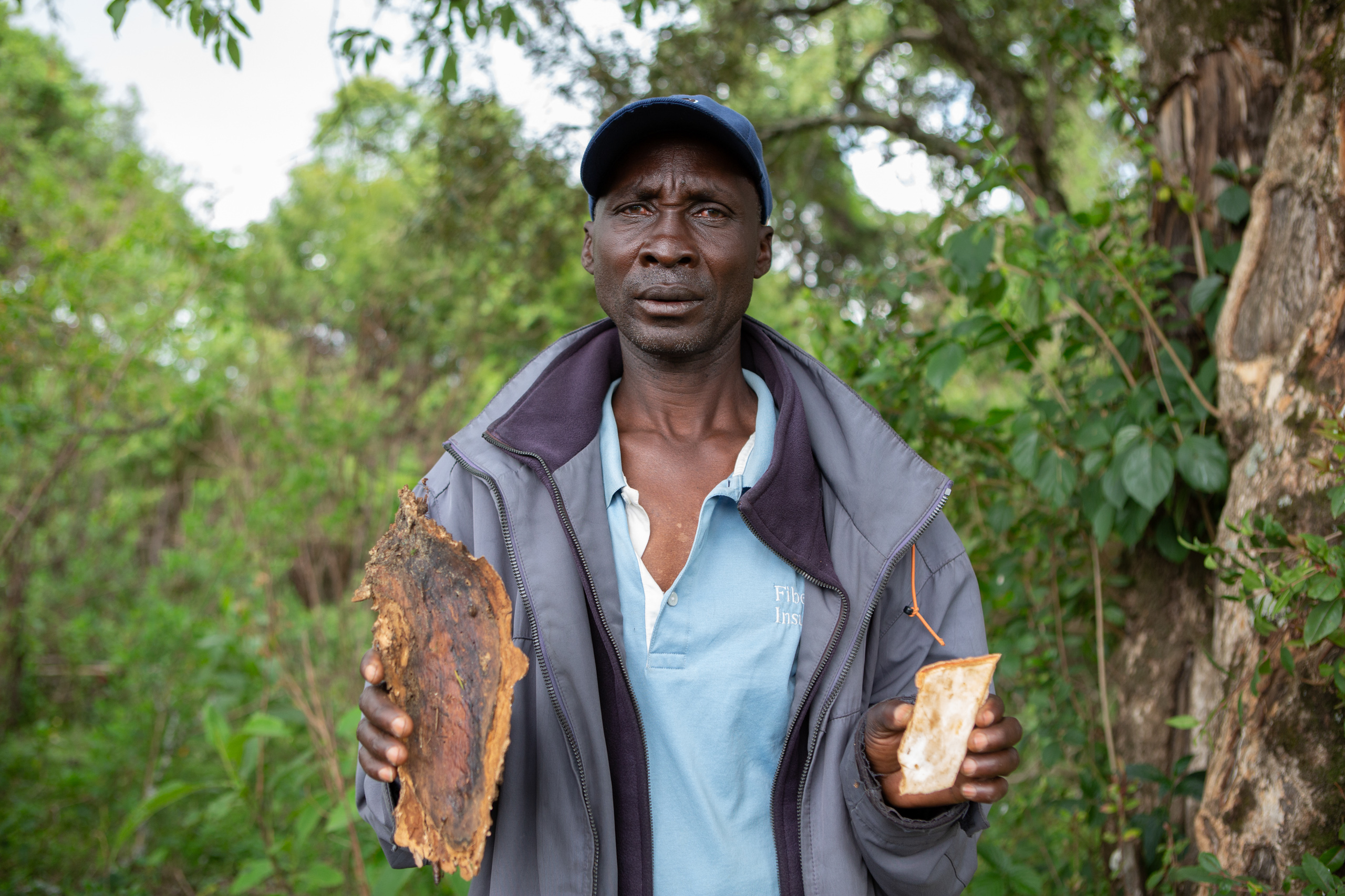 Ogiek community member Moses Ndiema displays the bark of a tree found on Mount Elgon
