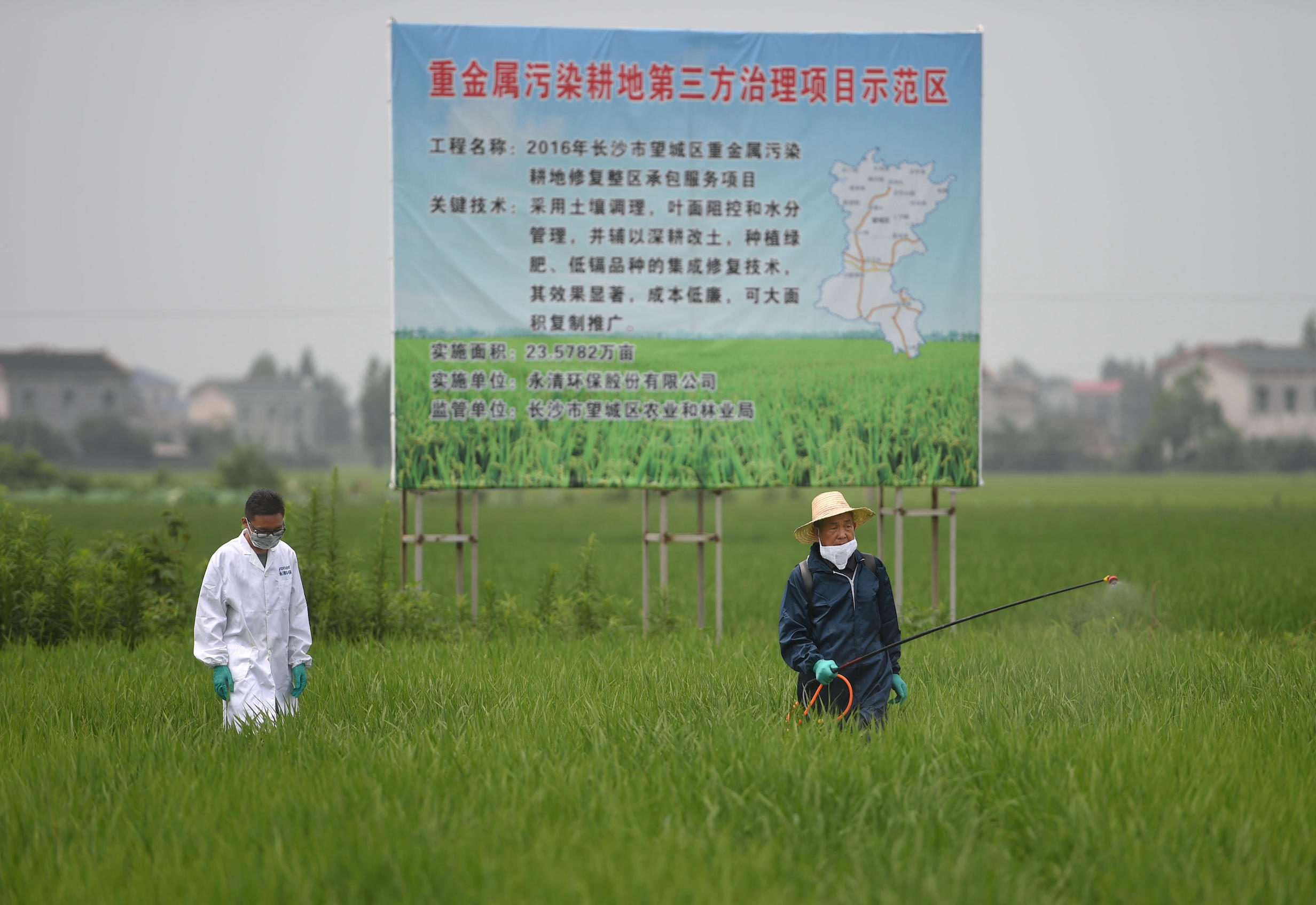 20220802_China-heavy-metal-soil-pollution-Hunan-spray_Alamy_G8E48M-e1659439191656.jpg
