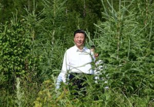 Chinese president Xi Jinping visits Maanshan forest farm to learn about ecological civilization building