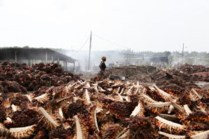 <p>A palm oil mill in Cameroon. There is a consensus on the need to increase smallholder inclusion in palm certification schemes. (Image © Micha Patault / Greenpeace)</p>