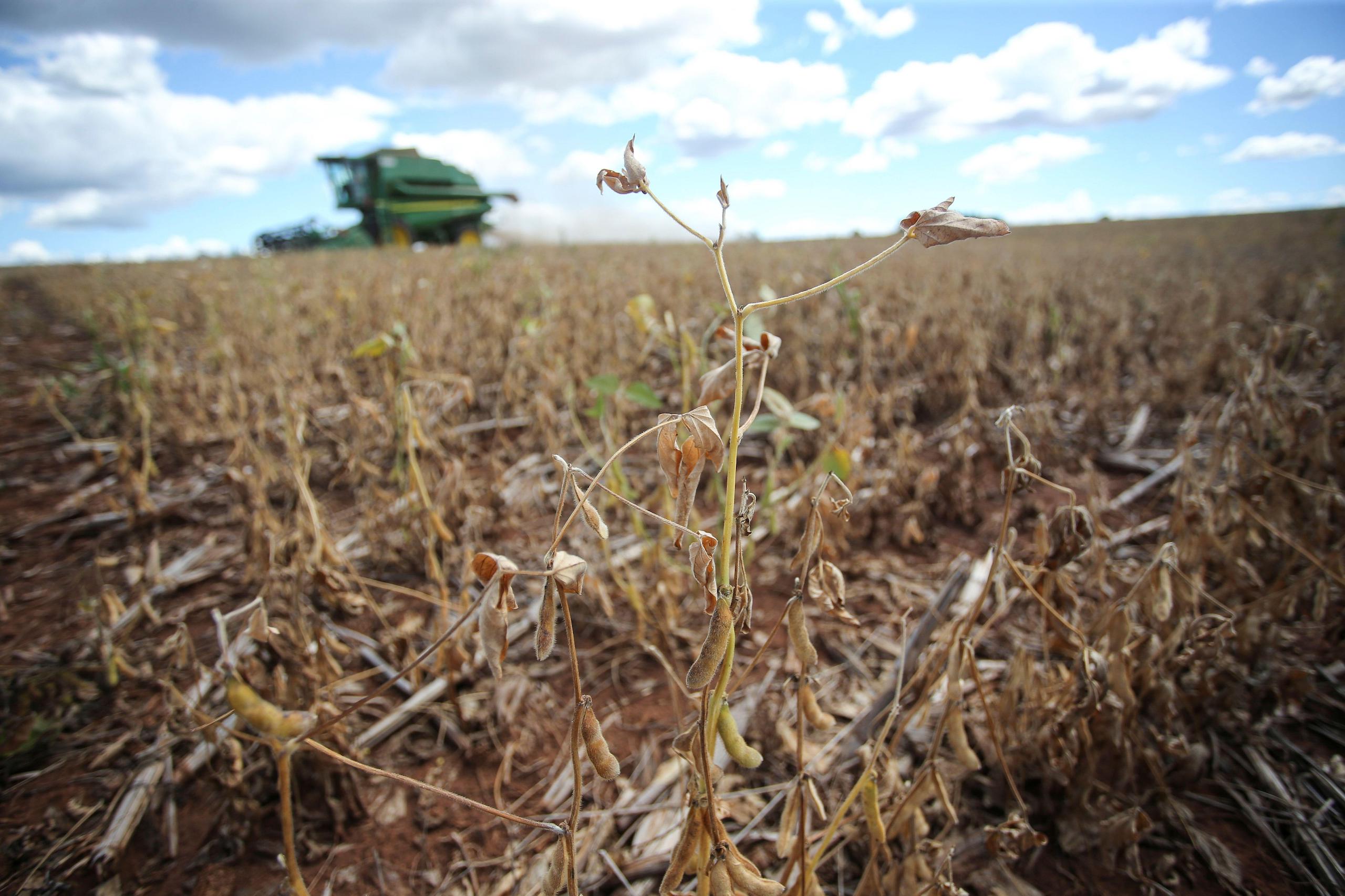 Nature an underrated ally against flood and drought | China Dialogue