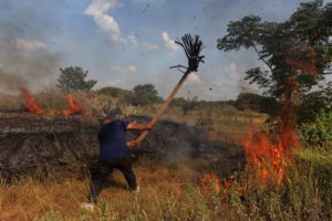<p>A resident of Xinyao in Jiangxi province attempts to put out a brush fire during this summer’s record-breaking drought (Image: Thomas Peter / Alamy)</p>