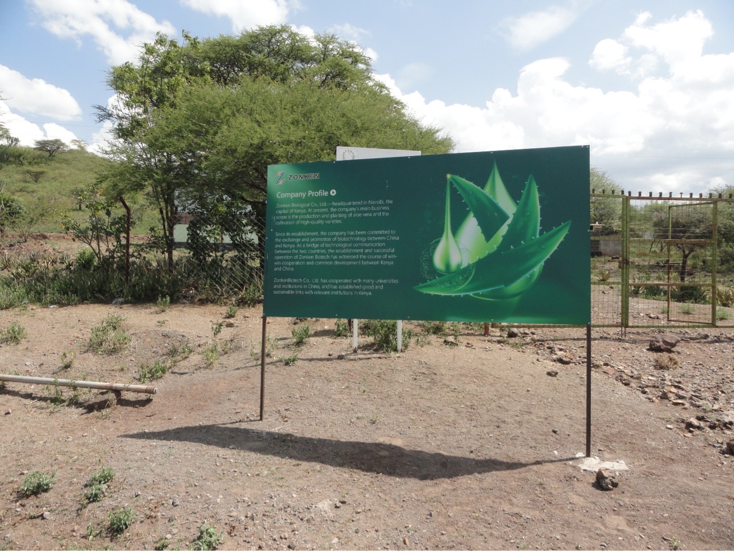 Aloe vera sign in Kenya