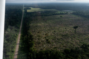 aerial view of deforestation in the Brazilian Amazon, Dialogo Chino