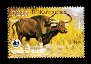 <p>一枚绘有国兽林牛图案的柬埔寨邮票。林牛（kouprey）是一种野牛，已经从人类的视野中消失50多年了。图片来源：Alamy</p>