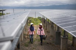 <p>A solar farm on Karampuang Island, Indonesia (Image: Jake Lyell / Alamy)</p>