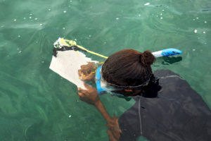 woman writes in notepad while snorkelling in blue water