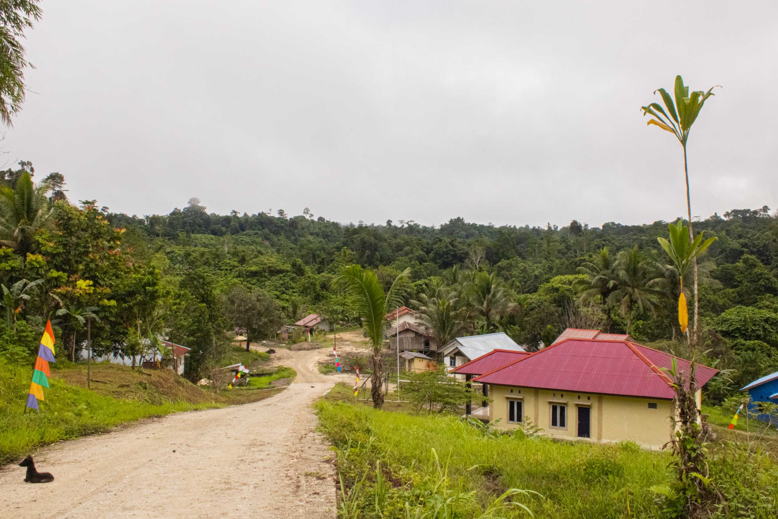 A view of Tarsa village
