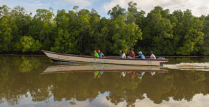 <p>印度尼西亚西巴布亚省的塞贡河（Segun River）。过去十年间，摩伊土著群体的成员一直在努力保护这片地区的原始森林免受油棕开发的影响。图片来源：韦布里安·亨姆布林 / 中外对话</p>