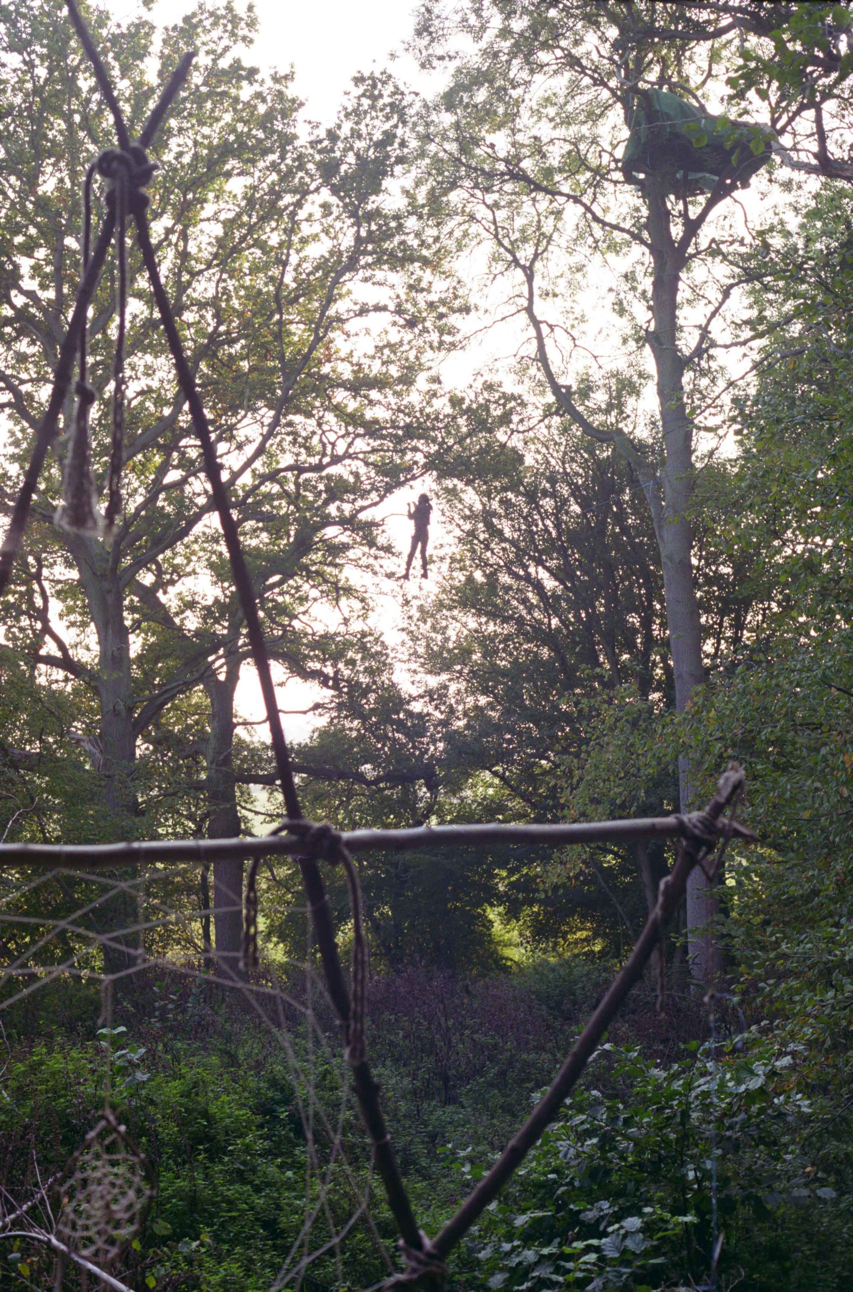 Person climbing along ropes between trees, historical photograph