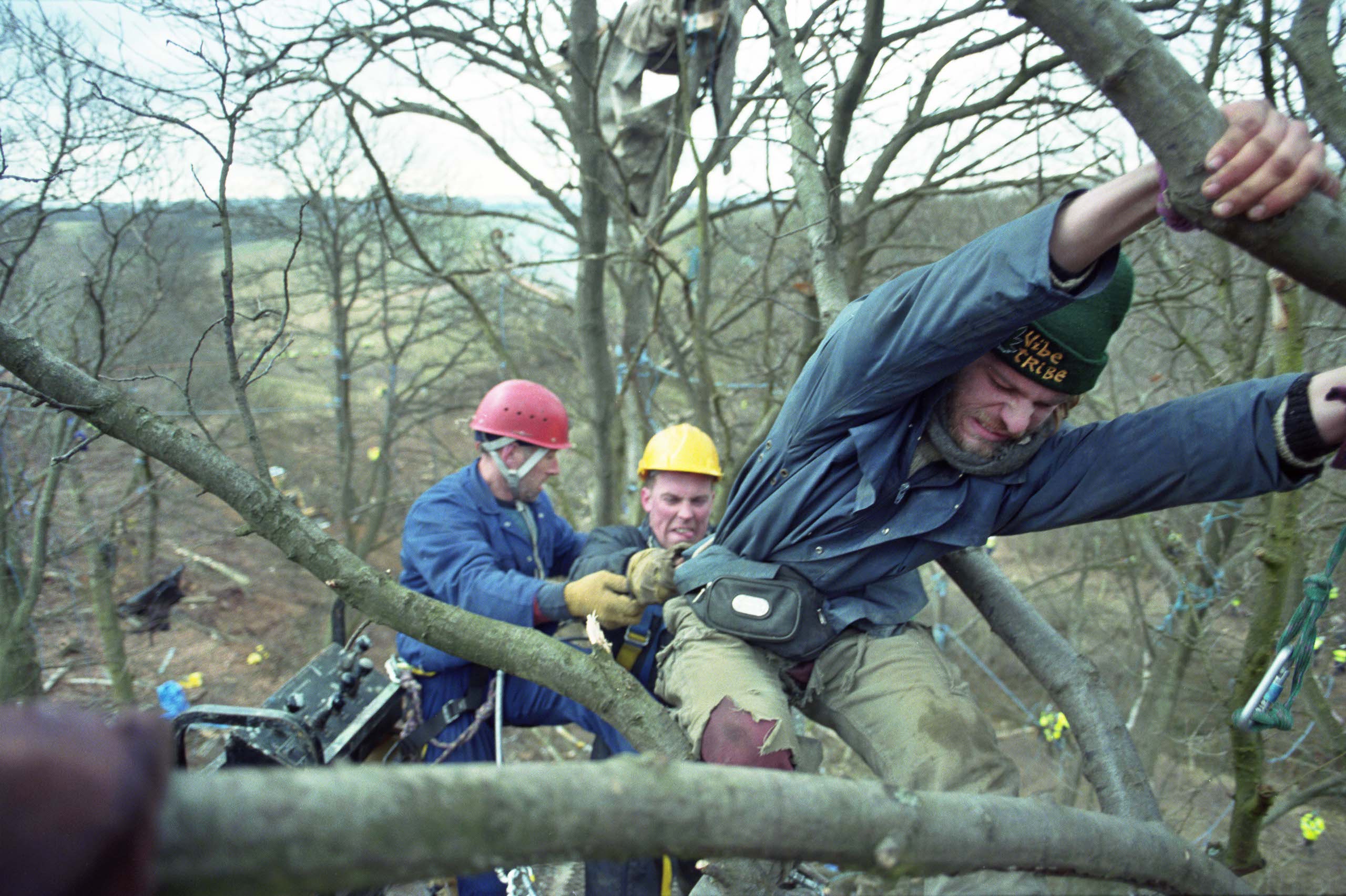 Two men in hard hats pull at a man resisting by holding onto a tree branch