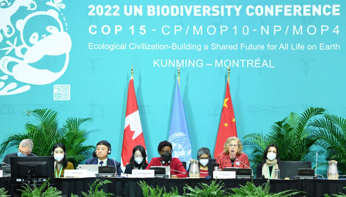 COP15: Whose business is nature anyway?