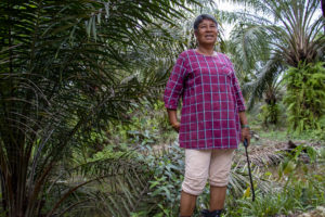<p>Azina Ap Dongkin, a palm oil smallholder from an Orang Asli indigenous village in the Malaysian state of Perak (Image: Regina Lam / China Dialogue)</p>