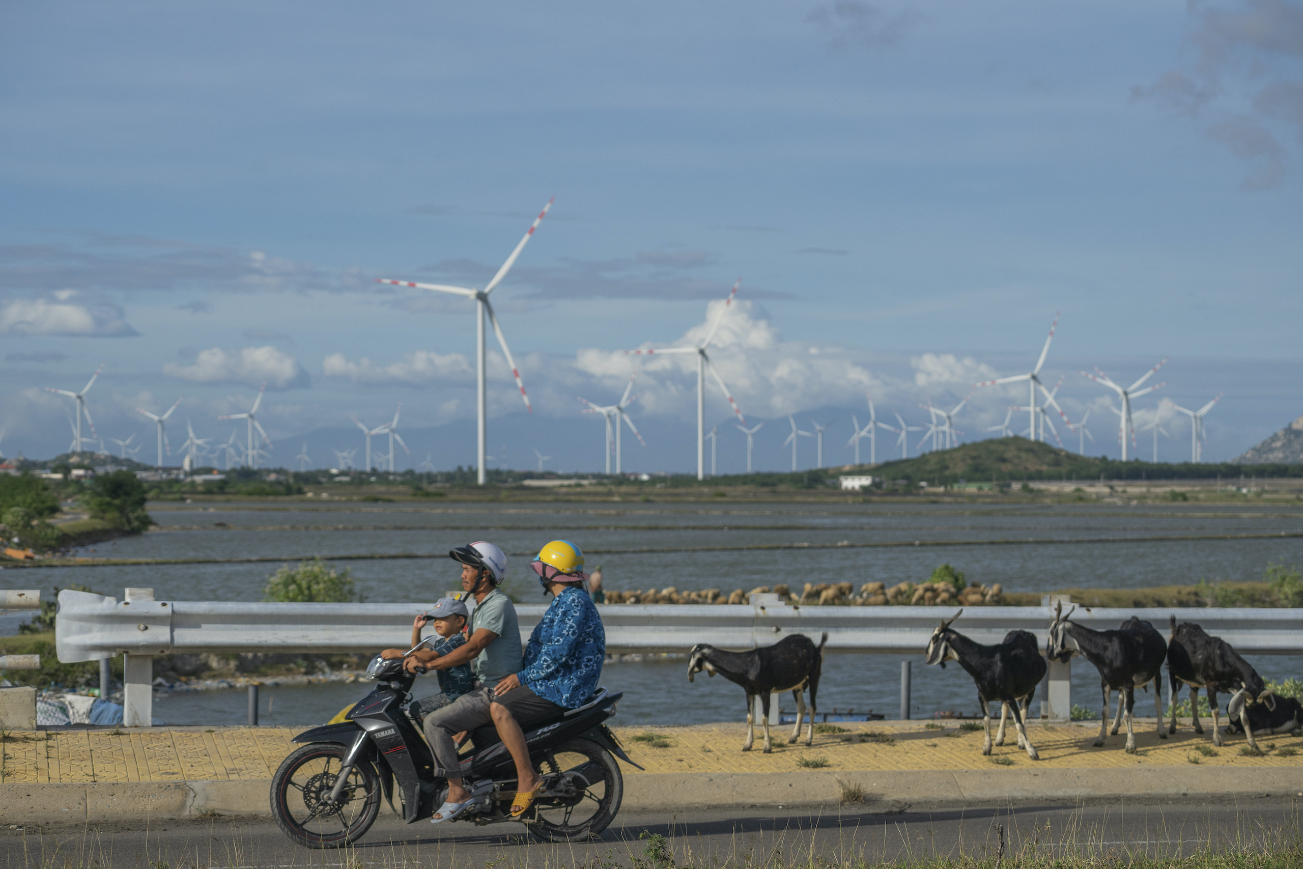 A wind farm in Vietnam