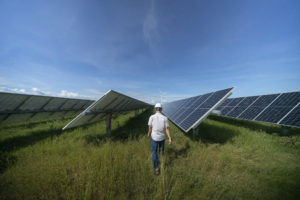 <p>Dinh Van Thang walks between solar panels at the hybrid solar and wind farm he manages in Phan Rang (Image: Thinh Doan / China Dialogue)</p>