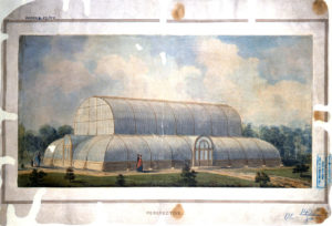 <p>A prospective view of the palm house that would be built in Kew Gardens in 1848. Kew was a hub for circulating plant specimens between colonial botanic gardens around the world. (Image © <a href="https://images.nationalarchives.gov.uk/assetbank-nationalarchives/action/viewAsset?id=35772">The National Archive</a>)</p>