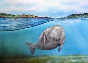 Pencil illustration of a dugong swimming under the water, a port and cargo ship in the background