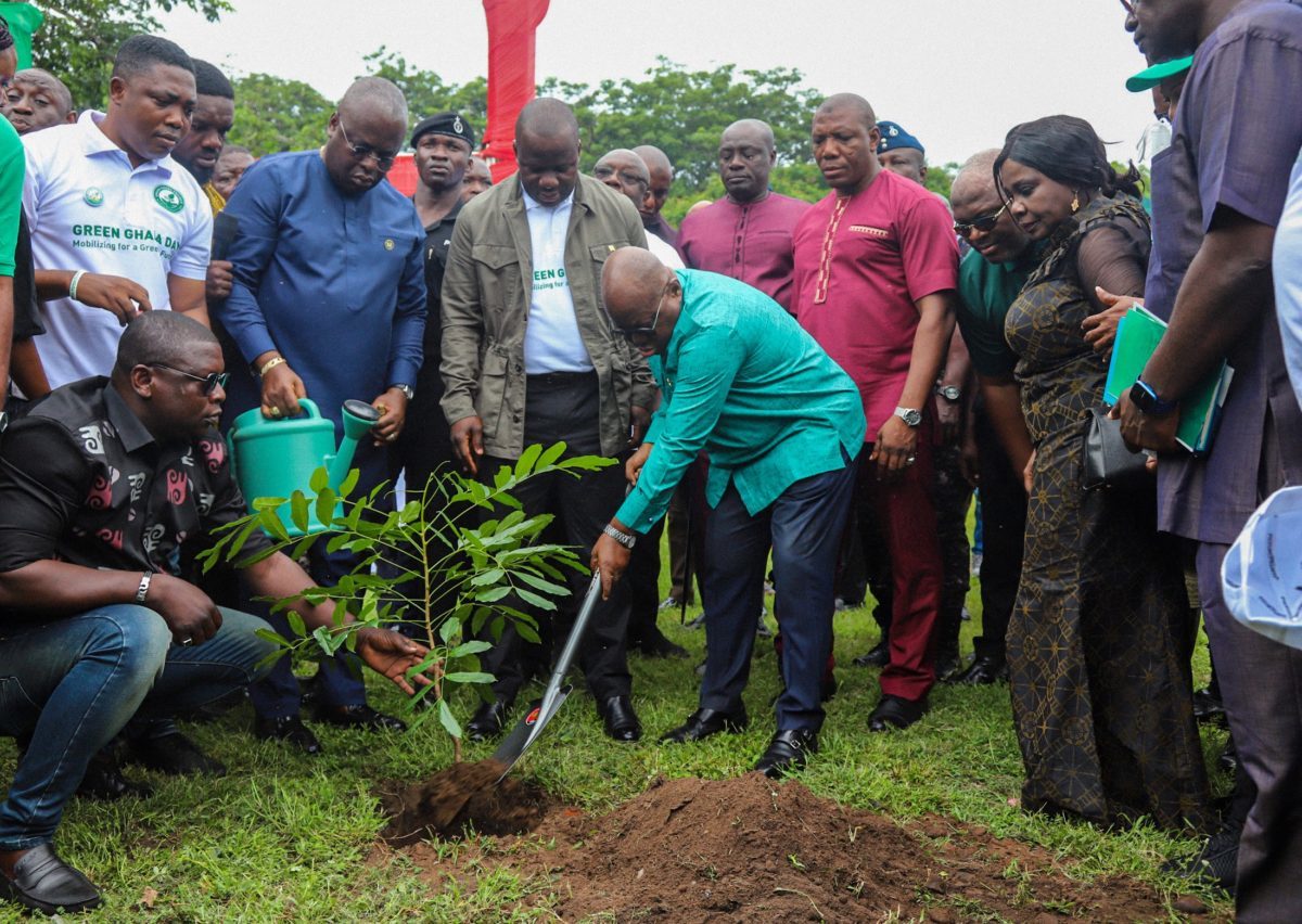 Ghana’s treeplanting drive and the biodiversity question