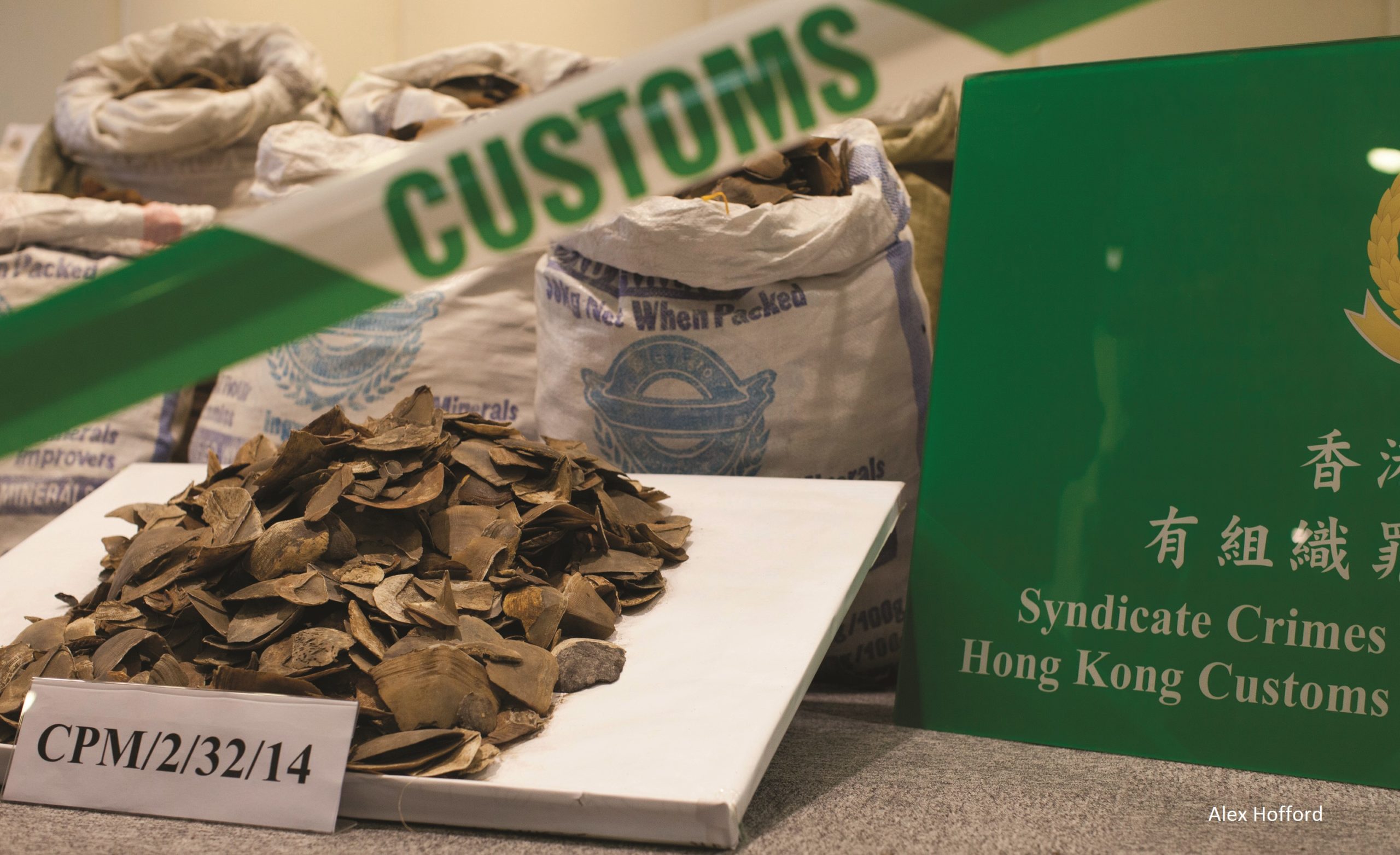 Pangolin Scale at customs