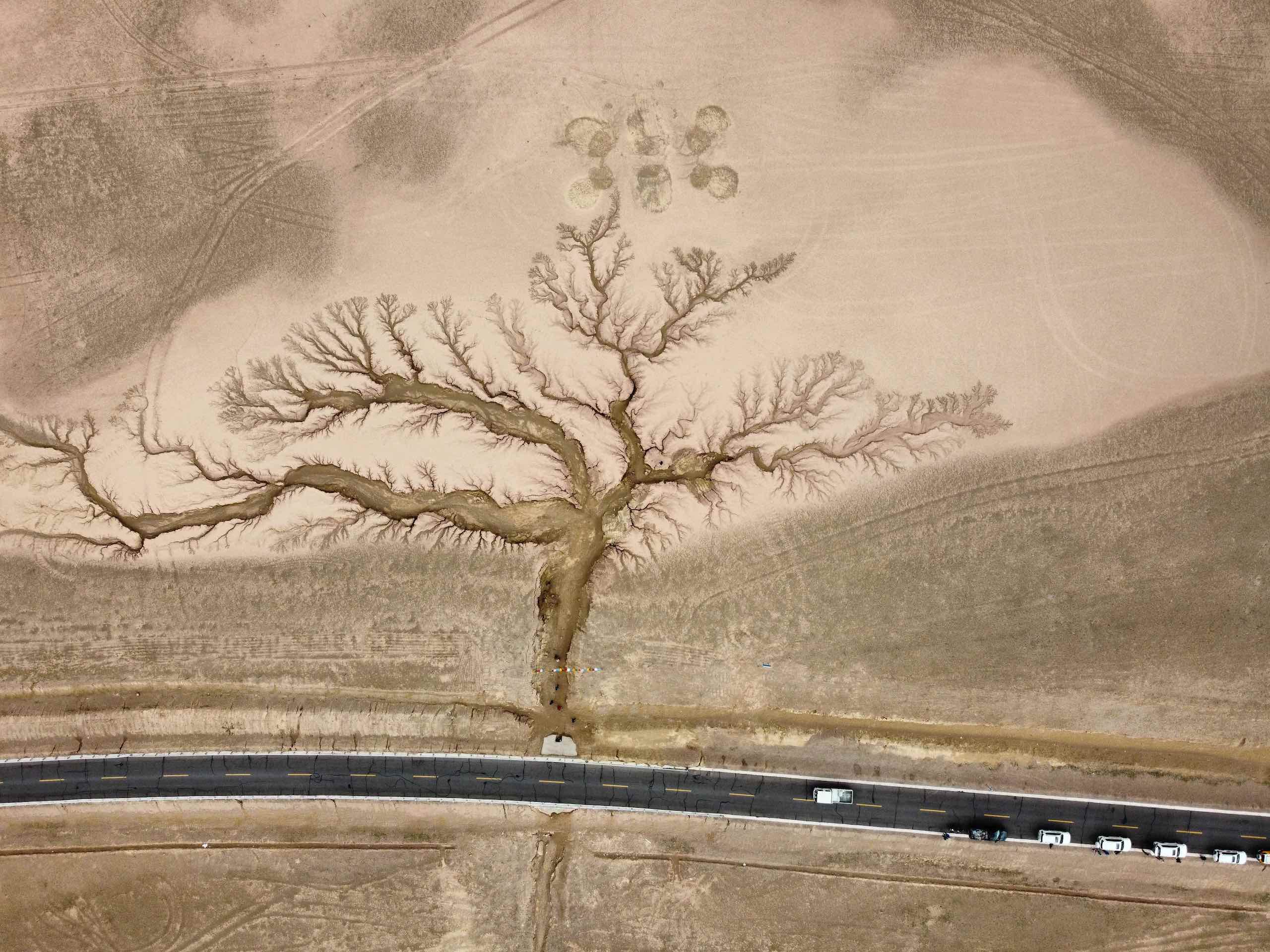 <p>The “Tree in the Sky” along the national highway 317 in northern Tibet (Image: Yang Yong)</p>