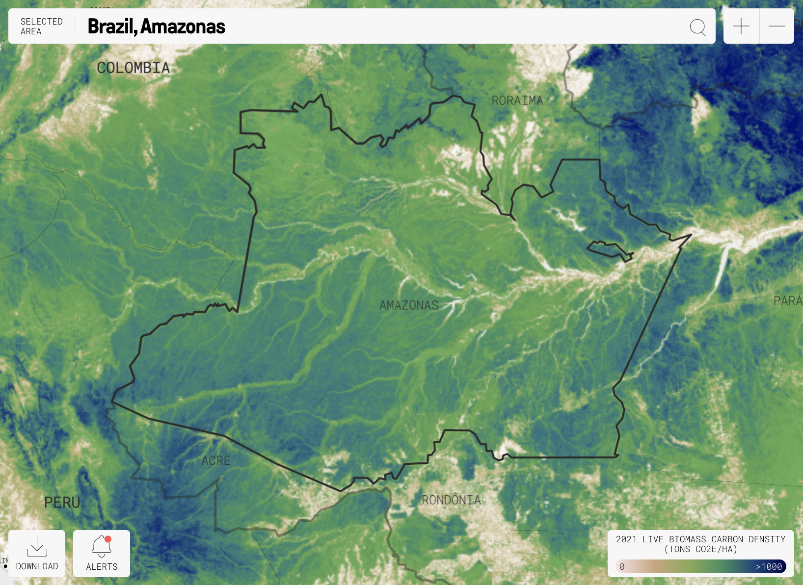 green and blue satellite image of a river in Amazonas state, Brazil