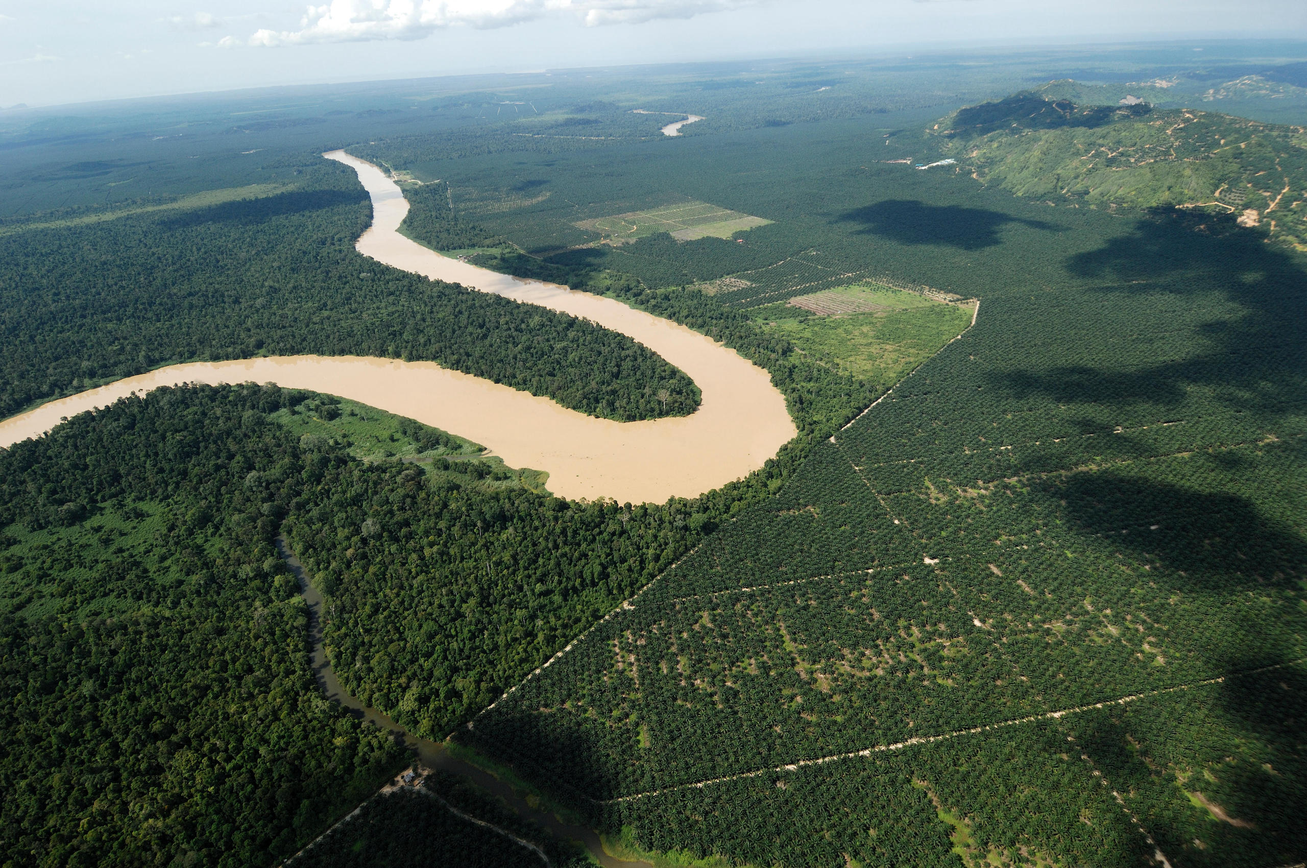 Widok z lotu ptaka na zakole rzeki otoczone lasami deszczowymi i plantacjami roślin uprawnych