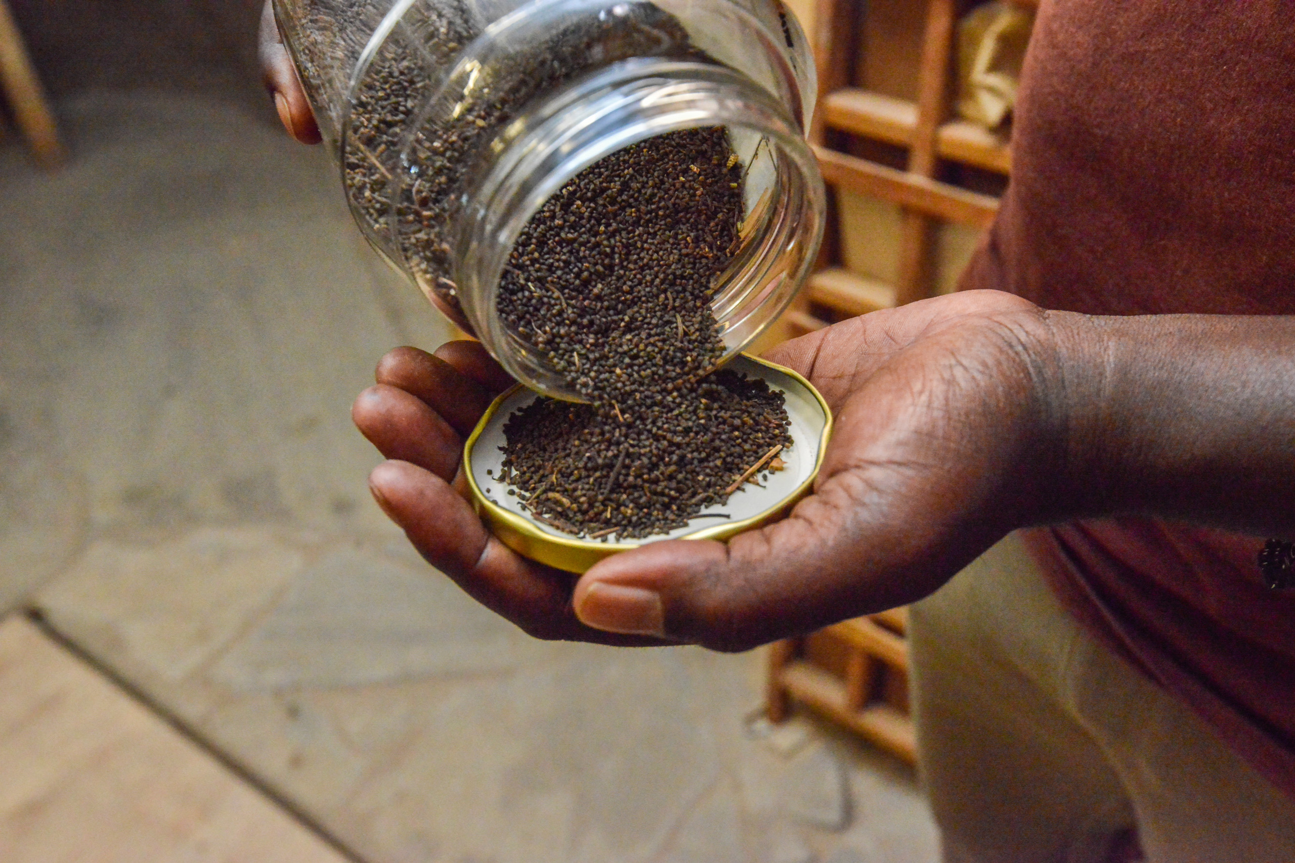 Malutkie nasiona wylewane ze słoika do dłoni